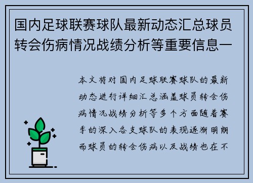 国内足球联赛球队最新动态汇总球员转会伤病情况战绩分析等重要信息一览
