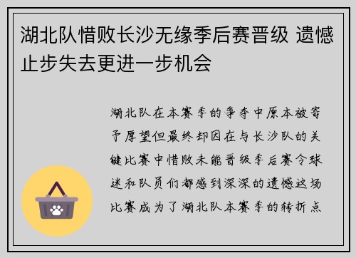 湖北队惜败长沙无缘季后赛晋级 遗憾止步失去更进一步机会